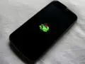 Smartphone con logo Android verde su schermo nero. Il display si accende e si spegne da solo, indicando un problema.