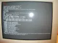Schermata di un computer con un messaggio di "Kernel panic" e un errore di puntatore nullo, che indica un grave problema nel sistema operativo.