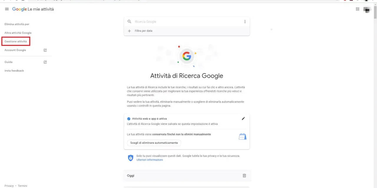 Gestione attività Google: visualizza la cronologia Google oggi, gestisci le ricerche e le attività web salvate per migliorare la tua esperienza.