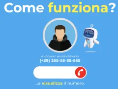 Scopri come scoprire un numero privato dopo la chiamata senza app. Whooming identifica il chiamante e visualizza il numero.