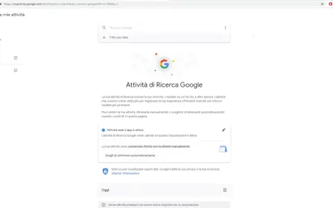 Gestione attività Google: visualizza la cronologia Google oggi, gestisci le ricerche e le attività web salvate per migliorare la tua esperienza.