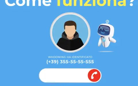 Scopri come scoprire un numero privato dopo la chiamata senza app. Whooming identifica il chiamante e visualizza il numero.
