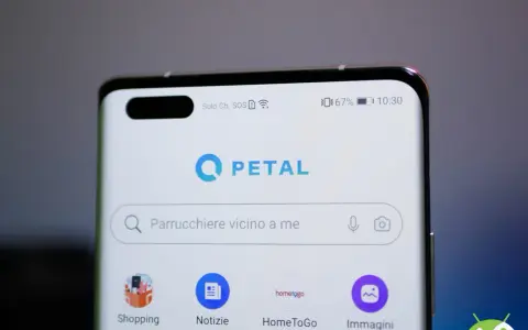 Schermata di uno smartphone con l'app Petal. La barra di ricerca mostra "Parrucchiere vicino a me", suggerendo una ricerca Petal per servizi locali.