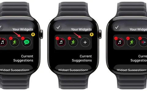 Schermata di un widget orologio su Apple Watch, mostra le opzioni per aggiungere o rimuovere icone di app.