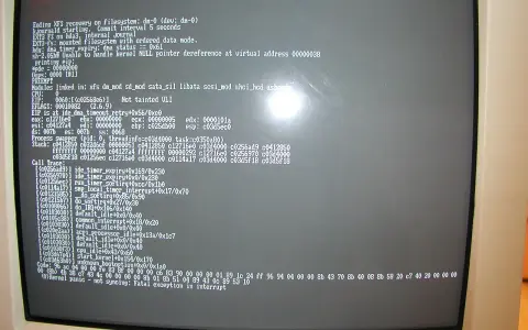 Schermata di un computer con un messaggio di "Kernel panic" e un errore di puntatore nullo, che indica un grave problema nel sistema operativo.
