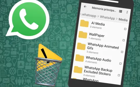 Il logo WhatsApp e un cestino con un segnale di pericolo indicano che si può cancellare un SMS inviato.