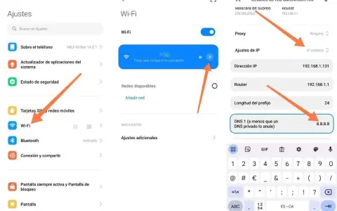Configurazione DNS su Android: imposta 8.8.8.8 per i migliori DNS.