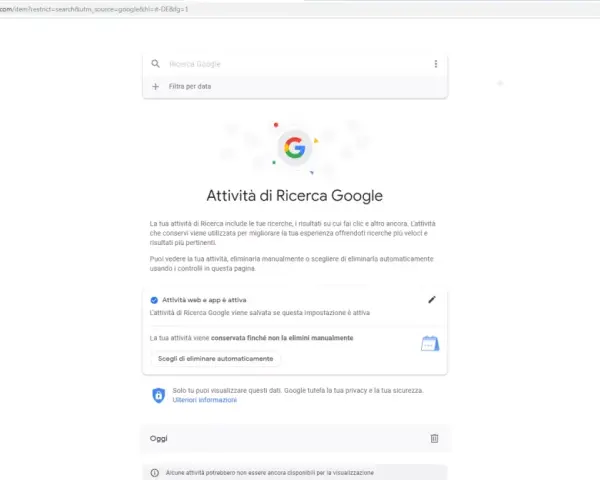 Gestione attività Google: visualizza la cronologia Google oggi, gestisci le ricerche e le attività web salvate per migliorare la tua esperienza.