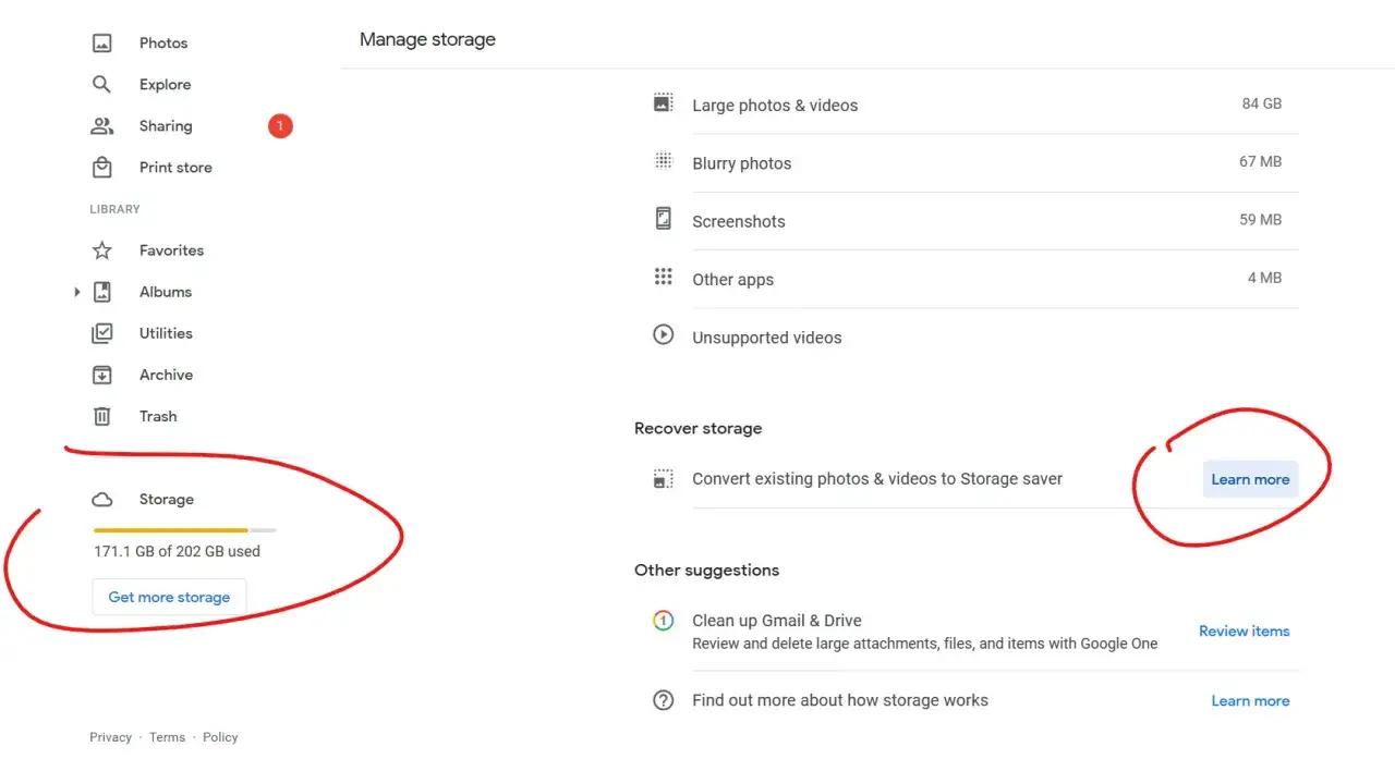 Gestisci lo spazio su Google Foto: 171.1 GB usati su 202 GB. Scopri come liberare spazio con suggerimenti per foto grandi, sfocate e altro.