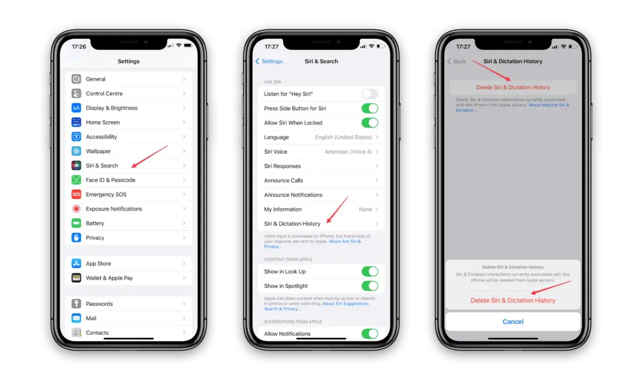 Schermate iPhone: impostazioni Siri e ricerca, cronologia Siri e dettatura, eliminazione cronologia. Ultima ricerca fatta.